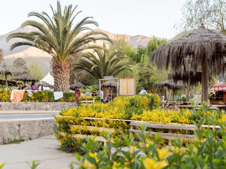 Sitios de camping bajo palmeras en Riojana
